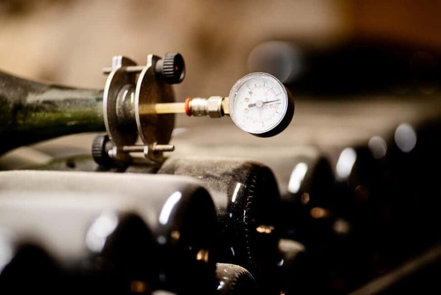 From Rome: Cantina Le Macchie Winery Tour and Tasting - What to Expect During the Tour