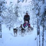 From Rovaniemi: 5km passenger Husky Sleigh Ride - The Ride and the Husky Kennel Visit