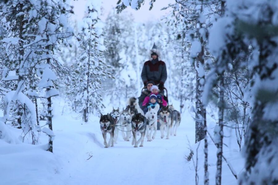 From Rovaniemi: 5km passenger Husky Sleigh Ride - The Ride and the Husky Kennel Visit