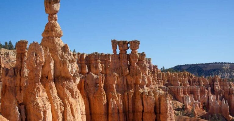 From Salt Lake City: Private Bryce Canyon National Park Tour - The Value of a Private, Customized Experience