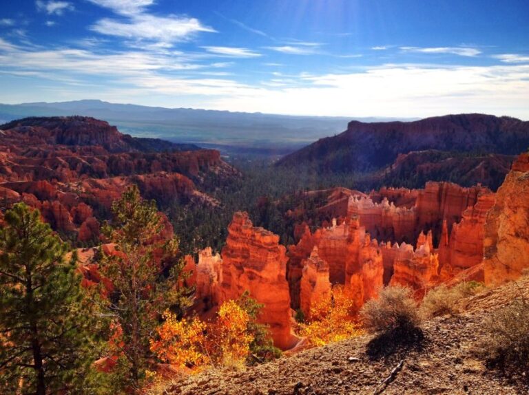 From Salt Lake City: Yellowstone and Tetons Parks in 4 Days - Day-by-Day Breakdown
