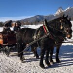 From Salzburg: 8 hour Horse-Drawn incl. 2-hour Carriage Ride - The Itinerary in Detail: What to Expect