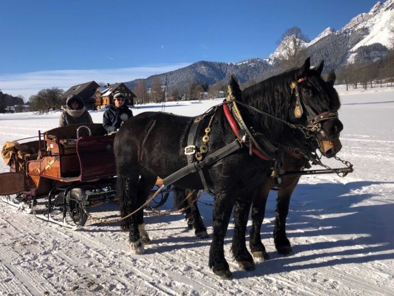 From Salzburg: 8 hour Horse-Drawn incl. 2-hour Carriage Ride - The Itinerary in Detail: What to Expect