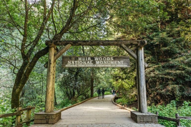 From San Francisco: Guided Muir Woods Tour - Transportation & Logistics