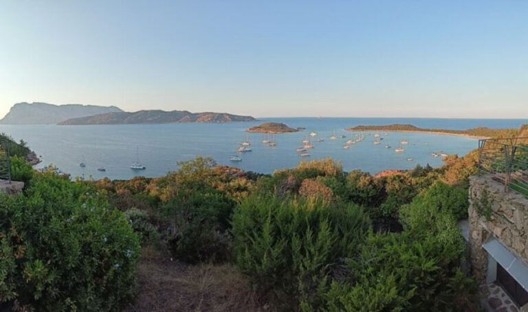 From San Teodoro: Tavolara Archipelago Dinghy Mini Tour - Who Will Love This Tour?
