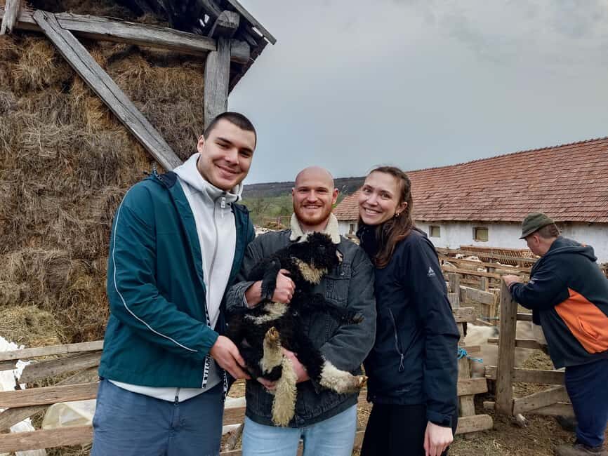 From Sibiu: Villages, Farm Life & Horse Carriage Ride - Pricing and Value