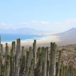 From South Fuerteventura: Jandía 4x4 Safari - Who Will Love This Tour?