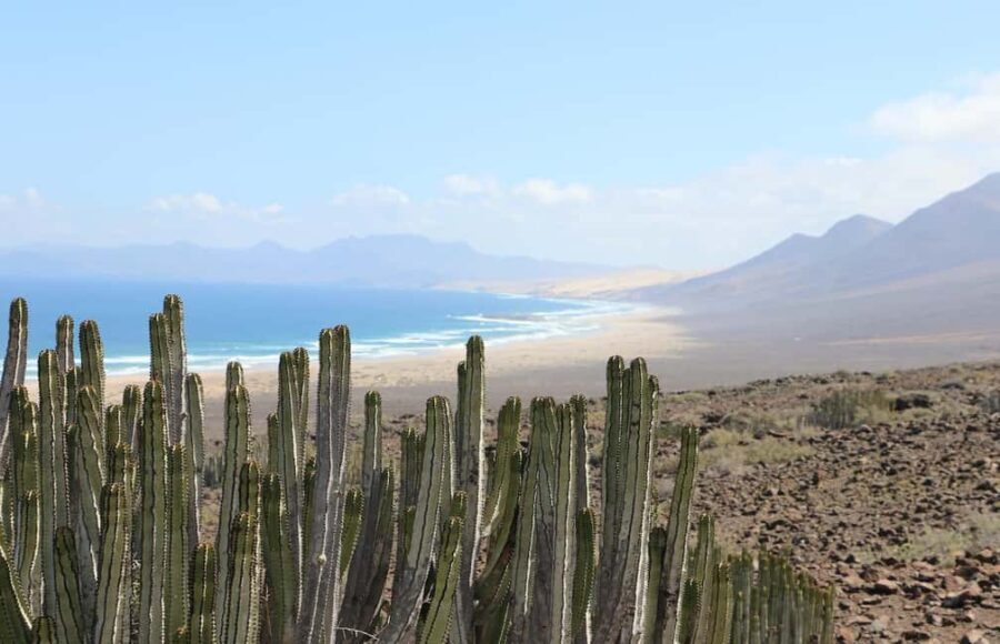 From South Fuerteventura: Jandía 4x4 Safari - Who Will Love This Tour?