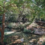 From Split: Krka Waterfalls Tour with Boat Cruise & Swimming - Who Is This Tour Best For?