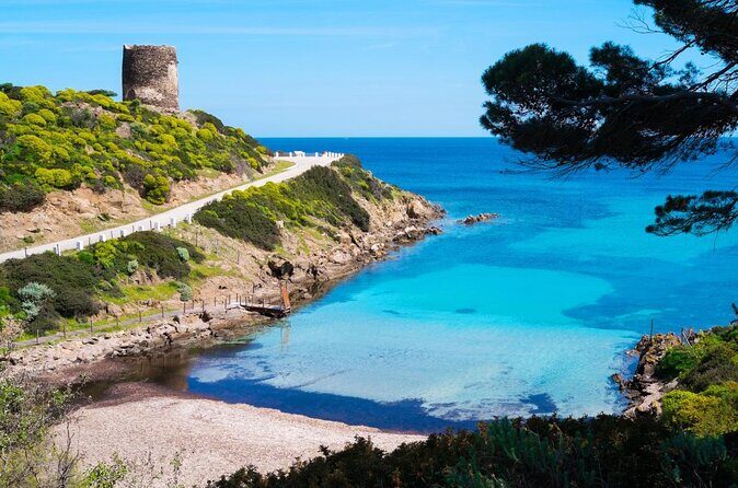 From Stintino: sailing trip to Asinara - Authenticity and Comfort on Board