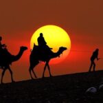 From Taghazoute : 2 Hours Agadir Camel Ride With Transfers and Tea Break - What You Can Expect During the Ride