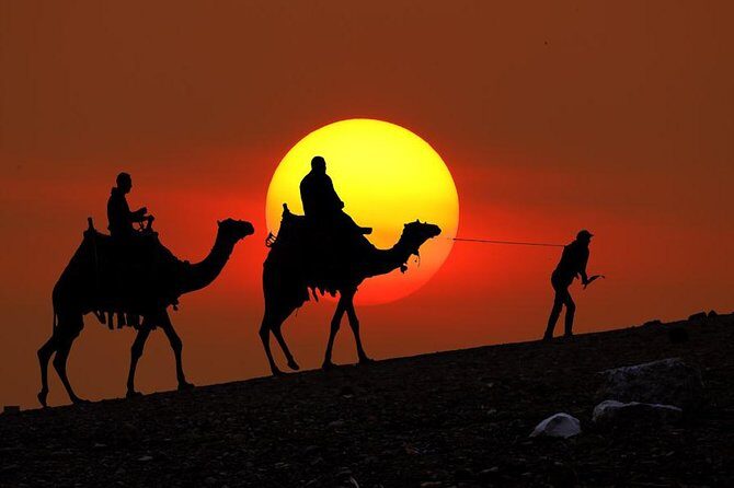 From Taghazoute : 2 Hours Agadir Camel Ride With Transfers and Tea Break - What You Can Expect During the Ride
