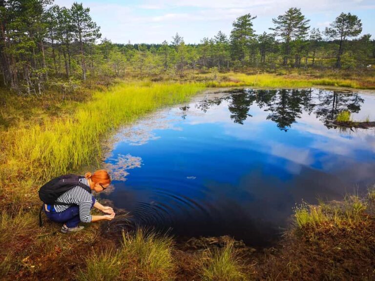 From Tallinn: Bog walk and Sauna Tour - Why the Guided Tour Matters