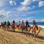 From Tangier: Cap Spartel and Hercules Cave with Camel Ride - Practical Details & Tips for Travelers