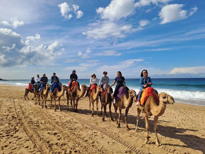 From Tangier: Cap Spartel and Hercules Cave with Camel Ride - Practical Details & Tips for Travelers
