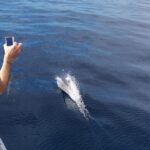 From Tazacorte: Discover the Northwest Coast by Speedy Yacht - Why This Tour Is a Great Choice