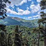 From Tbilisi: Bakuriani 1-Day Eco Tour by Electric Car - An In-Depth Look at the Experience