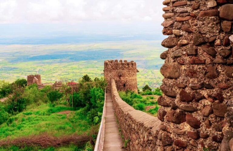 From Tbilisi: Kakheti Wine Region Tour with 9 Wine Tastings - Who Will Love This Tour?