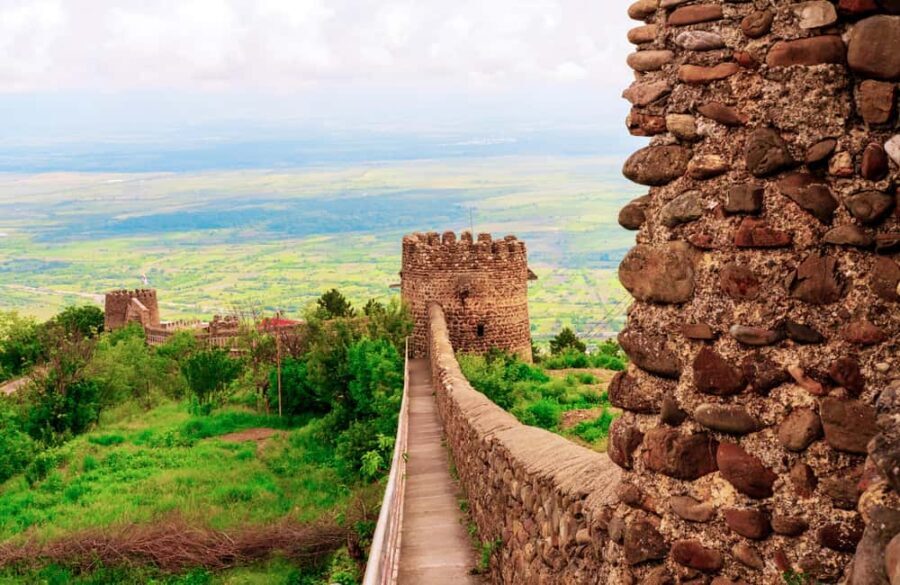 From Tbilisi: Kakheti Wine Region Tour with 9 Wine Tastings - Who Will Love This Tour?