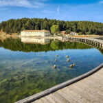 From Tirana/Durres/Golem: Vlora City and Zvernec Island Tour - What’s Included and What to Budget For