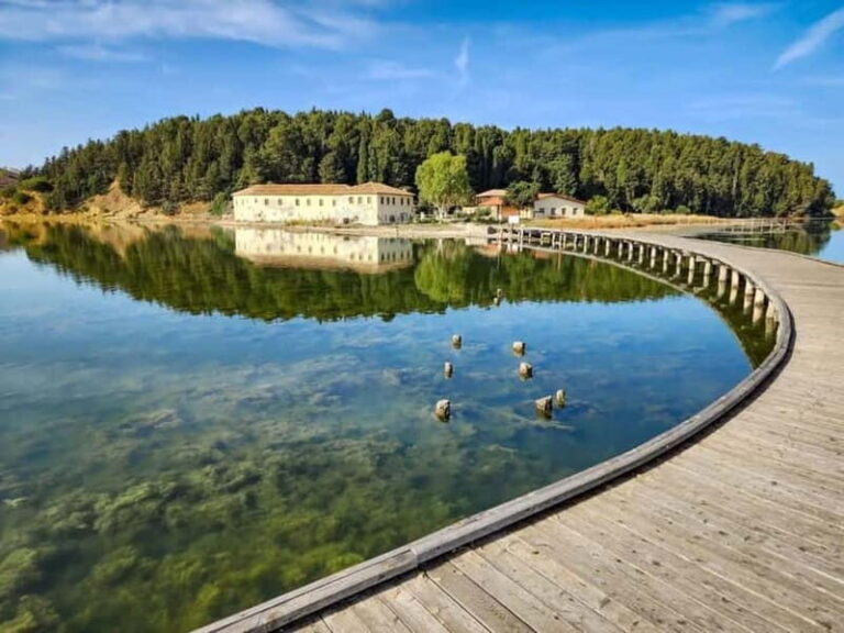 From Tirana/Durres/Golem: Vlora City and Zvernec Island Tour - What’s Included and What to Budget For