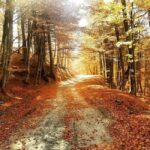 From Tirana / Durrës: Qafë-Shtamë, Sarisalltik & Krujë Tour - Why This Tour Works Well