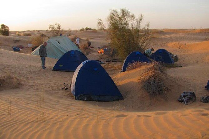 From Tozeur: 3-Day Desert Trip - What to Expect on the 3-Day Tozeur Desert Trip