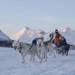 From Tromsø: Advanced Dog Sledding Daytime & Snow Park Visit - An in-depth look at the experience