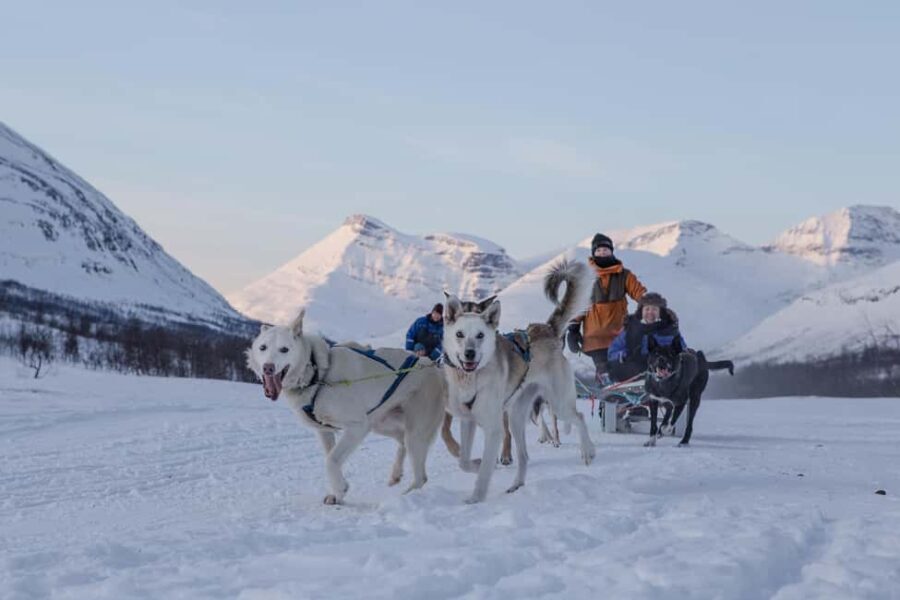 From Tromsø: Advanced Dog Sledding Daytime & Snow Park Visit - An in-depth look at the experience
