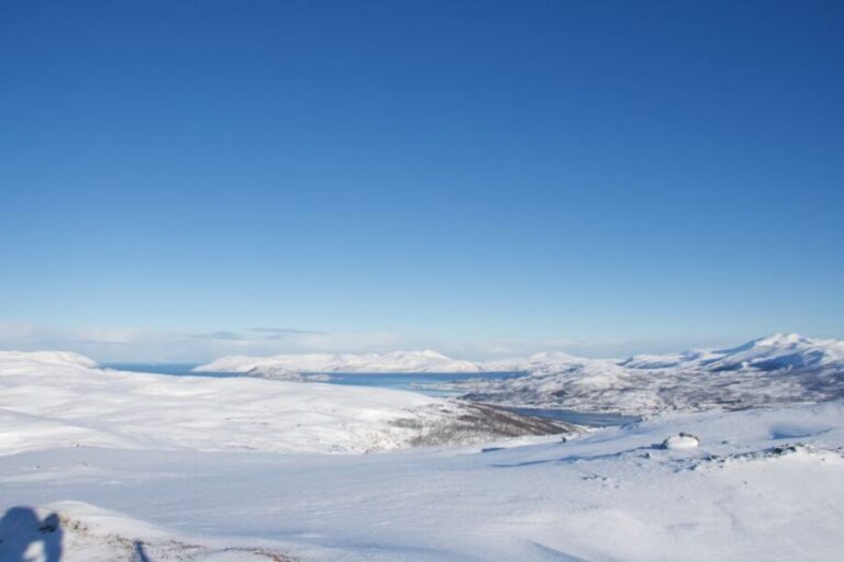 From Tromsø: Guided Snowshoe Hike Experience - Is This Tour Worth the Price?