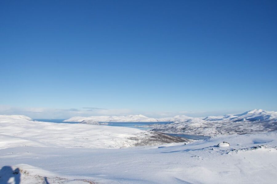 From Tromsø: Guided Snowshoe Hike Experience - Is This Tour Worth the Price?