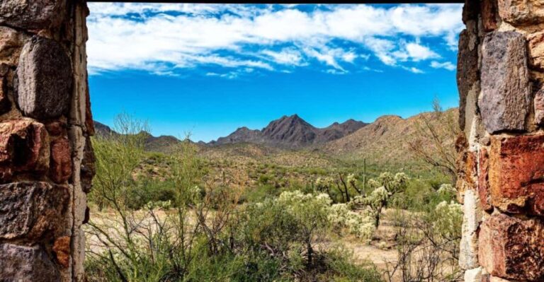 From Tucson: Sonoran Desert with Desert Museum Ticket - Who Will Love This Tour?