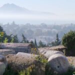 From Tunis/Sousse: Medina Carthage, Sidi Boussaid Tour - Exploring the Tour: What to Expect