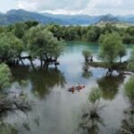 From Ulcinj: Skadar Lake Land and Boat Tour - The Itinerary: What to Expect