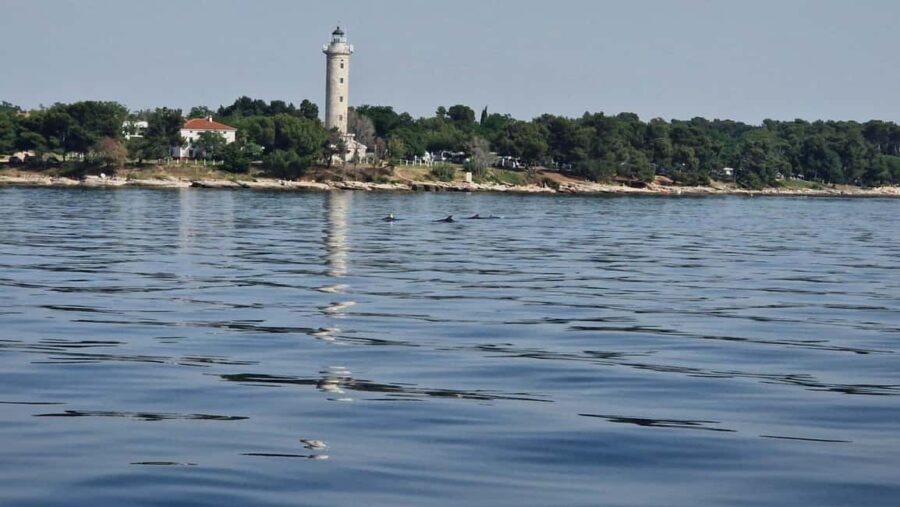 From Umag: Boat Tour to Savudrija with Swimming and Dolphins - FAQs