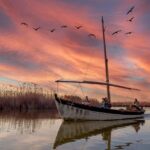 From Valencia: Albufera Natural Park Eco Boat Tour & Sunset - The Itinerary in Detail