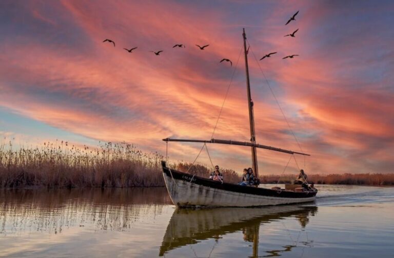 From Valencia: Albufera Natural Park Eco Boat Tour & Sunset - The Itinerary in Detail