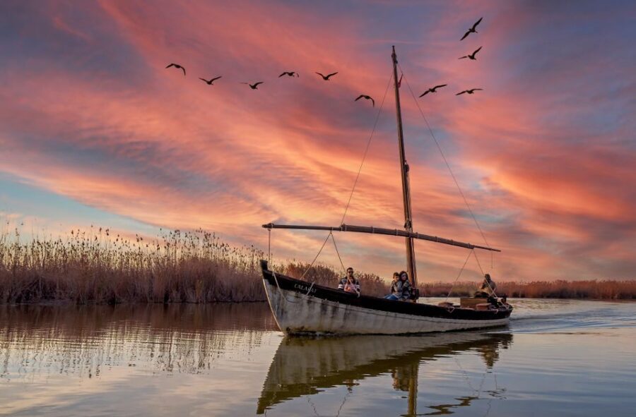 From Valencia: Albufera Natural Park Eco Boat Tour & Sunset - The Itinerary in Detail