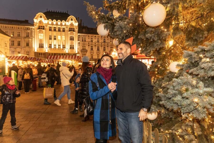From Vienna: Bratislava Christmas Market Half Day Trip - Practical Tips for Tour Participants