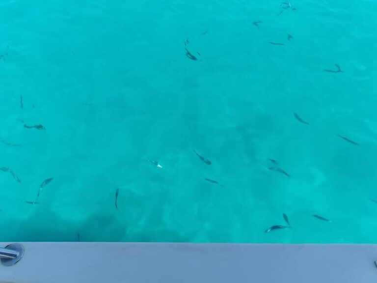 From Zadar: Sakarun Beach Private Speed Boat Tour - Why Youll Love This Tour