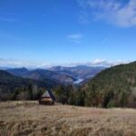 From Zlatibor/Uice: Tara National Park Adventure - Transport, Guides, and Overall Value