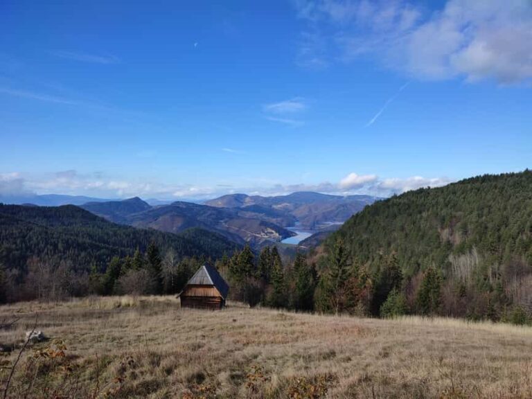 From Zlatibor/Uice: Tara National Park Adventure - Transport, Guides, and Overall Value