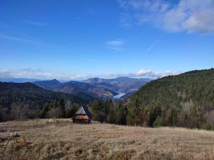 From Zlatibor/Uice: Tara National Park Adventure - Transport, Guides, and Overall Value