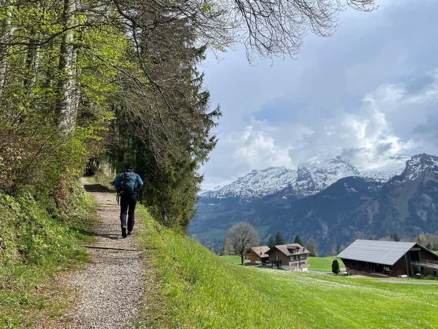 From Zug: Mythen Region Guided Hike with Gondola Rides - An In-Depth Look at the Guided Hike and Gondola Experience