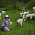 From Zurich: Hidden Swiss Gems Private Day Tour with a Local - The Practicalities: What’s Included and What to Know