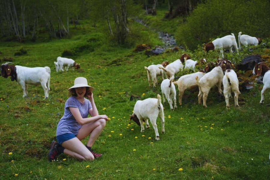From Zurich: Hidden Swiss Gems Private Day Tour with a Local - The Practicalities: What’s Included and What to Know