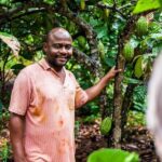 Fruits & Spices Adventure - A Closer Look at the Fruits & Spices Adventure