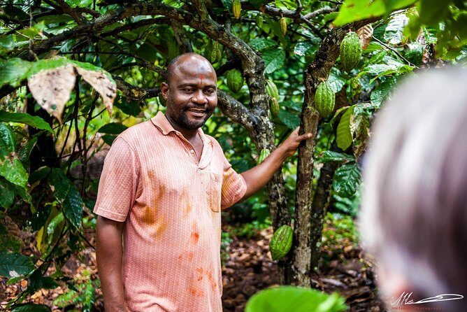 Fruits & Spices Adventure - A Closer Look at the Fruits & Spices Adventure