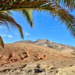 Fuerteventura Hiking on the sacred mountain El Cardon - The Practical Side: Logistics and Value