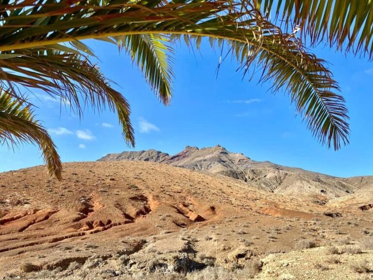 Fuerteventura Hiking on the sacred mountain El Cardon - The Practical Side: Logistics and Value